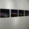 Forces of Nature  group exhibition