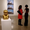 the Gao Brothers installation shot