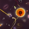 Thierry Feuz "Solaris - Substrat"