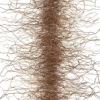 Stephen Galloway "Cordata"