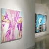 Ted Vasin  Painting and Sound, Installation View