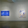 Installation view of Joan Moment: Intermittent Mapping, July 25 - Sept. 12, 2009 at LIMN Gallery