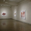 Installation view of "Roots and Shrubs": Nov. 14th - Dec. 31st at LIMN Gallery