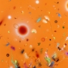 Thierry Feuz "Scirocco III"