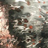 Poetry in Painting - The Work of Ming Ren, installation detail view