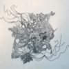 Artwork by Yael Kanarek, "Untitle (Lemon)"