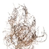 Stephen Galloway, "Arjuna", 62"x44", 2009