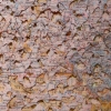 Doug Beube " from the Erosion Series" detail