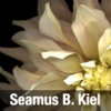 Seamus B. Kiel