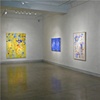Installation view of Joan Moment: Intermittent Mapping, July 25 - Sept. 12, 2009 at LIMN Gallery
