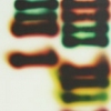 Jaq Chartier "6 lines w/Red C"