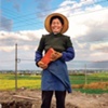 Han Bing, "Brick Hauler Before a Field of Flowers: New Culture Movement"