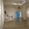 Cathy Stone, BLACK Installation at LIMN Art Gallery