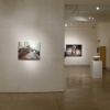 Forces of Nature  group exhibition