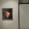 Installation view of "Some Place Else": Sept. 25 - Nov. 7 at LIMN Gallery