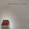 Diane Jacobs  New Works, Installation View