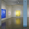 Installation view of Joan Moment: Intermittent Mapping, July 25 - Sept. 12, 2009 at LIMN Gallery