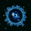 Cell D