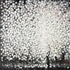 Randall Stoltzfus, "Bare"