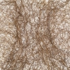Stephen Galloway "Corpus"