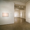 Debra Greene Solo Exhibition at LIMN Gallery 2009