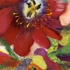 Thierry Feuz "Supernatural Scarlet"