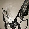 Cathy Stone, BLACK Installation at LIMN Art Gallery