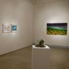 Forces of Nature  group exhibition