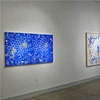 Installation view of Joan Moment: Intermittent Mapping, July 25 - Sept. 12, 2009 at LIMN Gallery