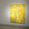 Installation view of Joan Moment: Intermittent Mapping, July 25 - Sept. 12, 2009 at LIMN Gallery