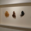 Diane Jacobs "Tails"