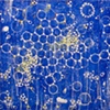Joan Moment, "Mapping The Stars II", 2008, acrylic on canvas, 36"x64"