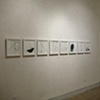 Cathy Stone, BLACK Installation at LIMN Art Gallery
