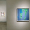 Sid Garrison  07 08 28, Installation View