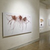 Installation view of "Roots and Shrubs": Nov. 14th - Dec. 31st at LIMN Gallery