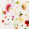 Thierry Feuz "Second Nature"