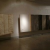 Caleb Duarte  Solo Exhibition
