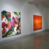 Thierry Feuz  Eldorado  Solo Exhibition