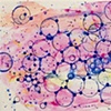 Joan Moment, "Pink Rumble", 2005, acrylic on canvas, 18"x48" each panel