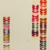 Jaq Chartier "Giant Color Chart"