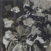 Doug Beube, "from Disorder Series: Cardinal"