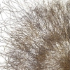 Stephen Galloway "Origin"