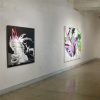 Ted Vasin  Painting and Sound, Installation View