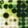 Jaq Chartier "Little Grid 4 green"