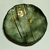 Copper Seashell