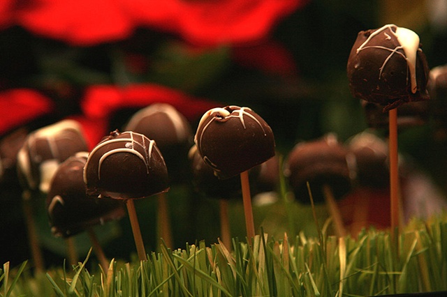World of Chocolate