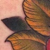 Rose Tattoo 2011