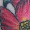 Flowers Tattoo by Little Chico 2006