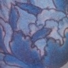 2006