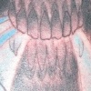 Skull with Leaves Tattoo by Little Chico 2008